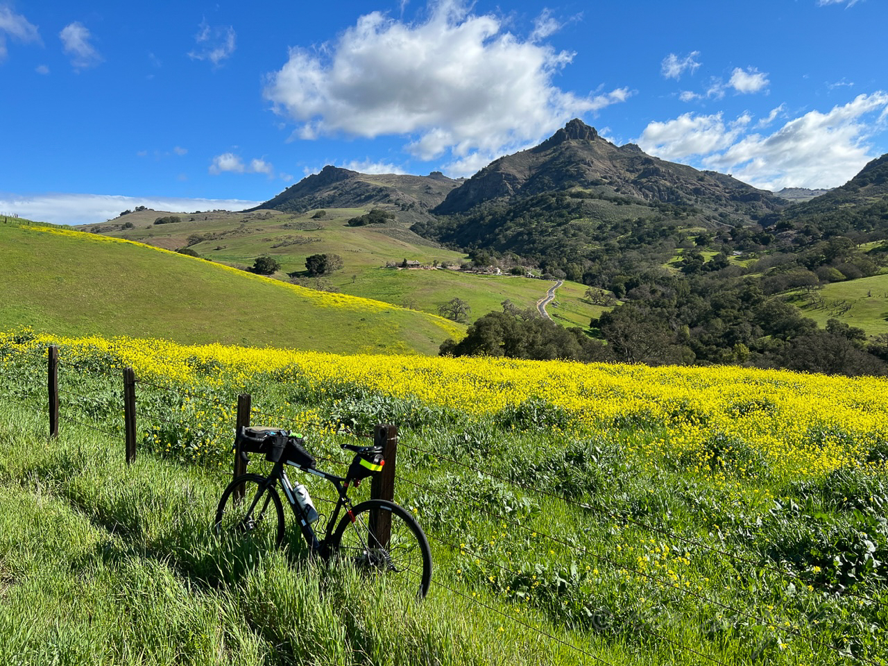 Early spring on Long Tree Road.jpg